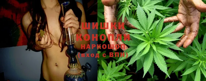 мега онион  как найти   Аткарск  Бошки Шишки OG Kush 